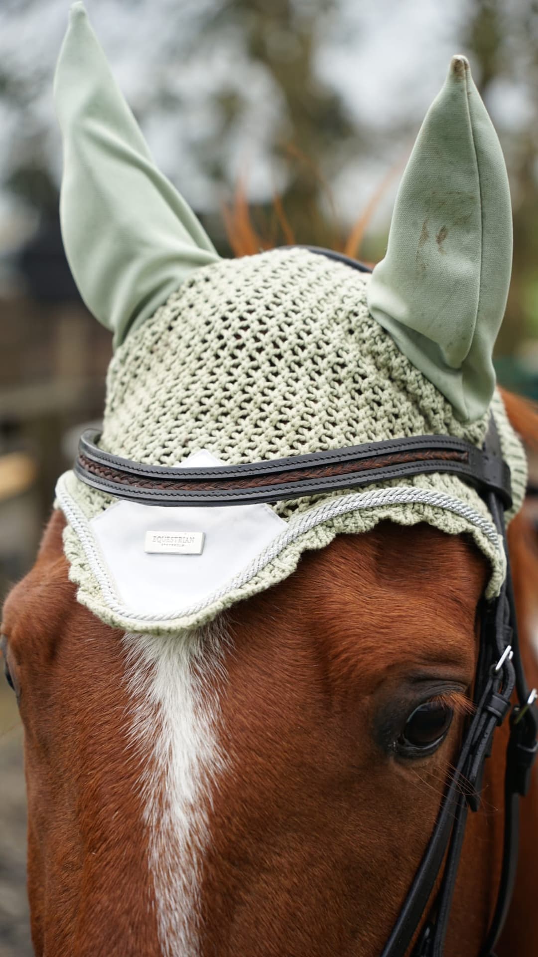 Foto van frontriem op paard
